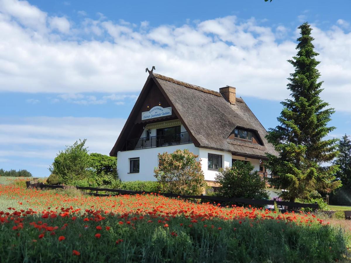 Pension Petersen Bergen Auf Rugen Esterno foto
