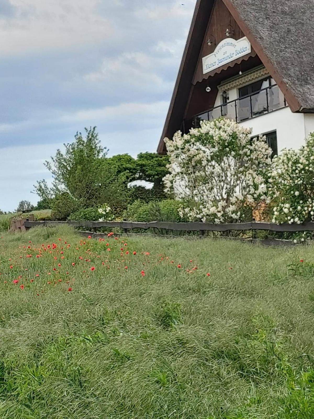 Pension Petersen Bergen Auf Rugen Camera foto